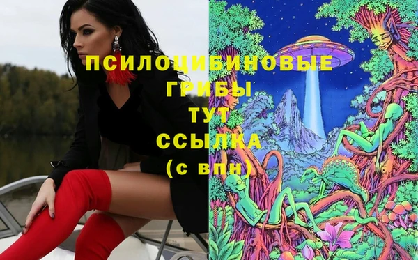 мдпв Вязьма